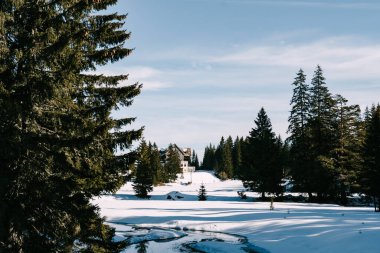 Kışın, kozalaklı bir ormanda, ağaçların arasında, mavi gökyüzüne karşı büyük bir ev.