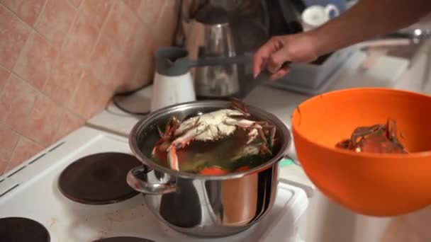 Le cuisinier sort les crabes rouges cuits de la casserole et les plie dans un bol d'orange.. — Video