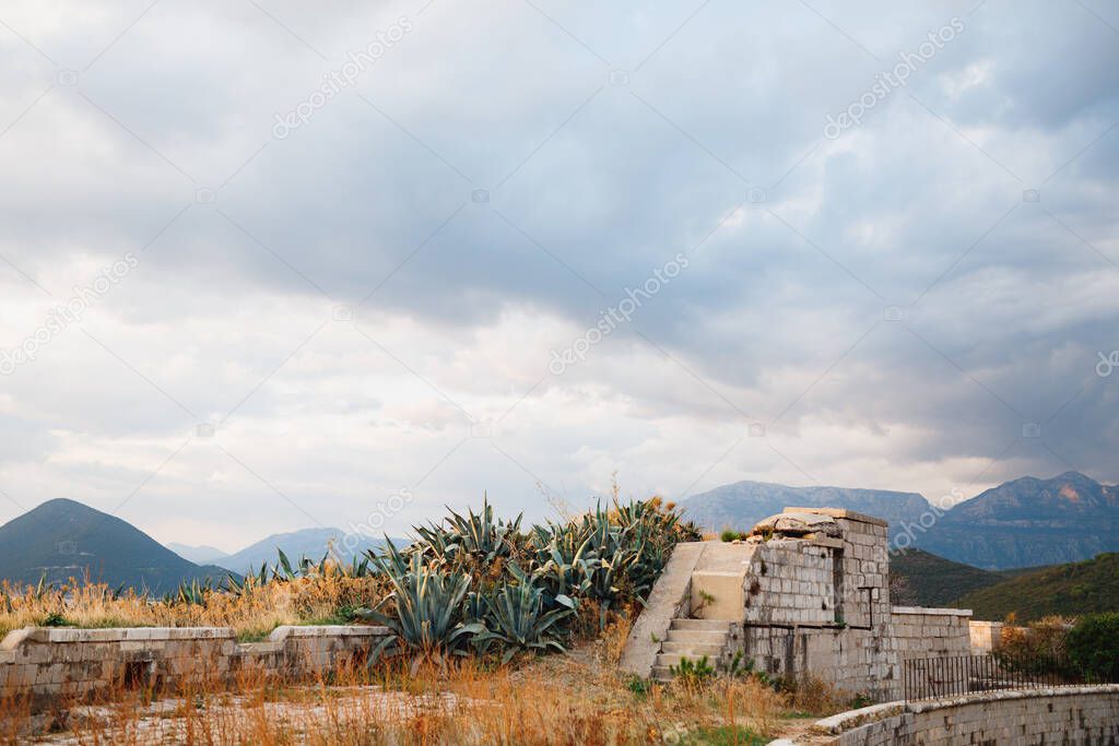 Green agave bushes by the ruins of an old brick building with steps overlooking the mountains.