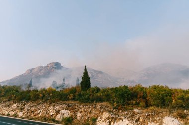 Dağlarda, yol kenarında yangın var..