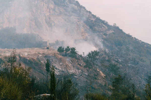 Ein Waldbrand in einem Steinbruch. Weißer Rauch in den Bergen. — Stockfoto