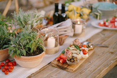 Kutlama masasındaki saksılarda çiçekler bulanık bir arka planda kesim tahtasıyla.