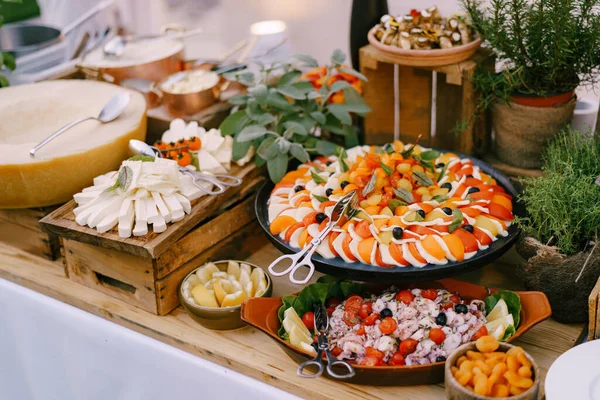 Капрезе на блюдечке на столе с салатом, сыром и цветочными горшками с комнатными плантациями. — стоковое фото