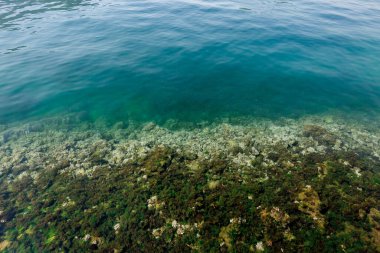 Kıyıdaki derin mavi deniz.