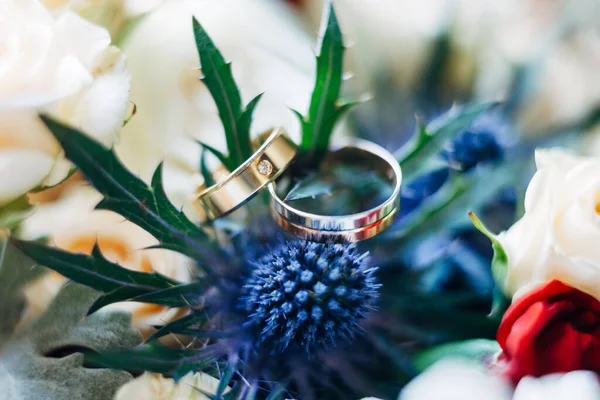 Anelli nuziali con una pietra preziosa sulle foglie di un fiore blu mordovnik. — Foto Stock