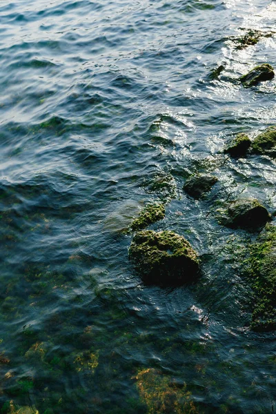 Piedras en musgo en agua de mar. — Foto de Stock