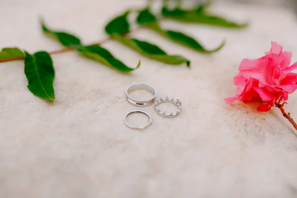 Dois anéis de casamento para a noiva e o noivo e o anel de noivado das noivas em um fundo branco com uma flor rosa. — Fotografia de Stock