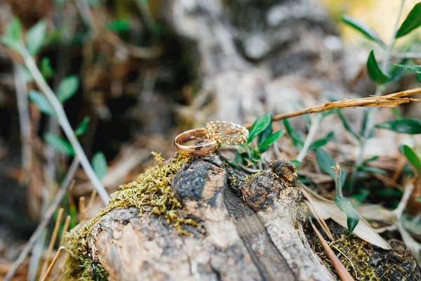 Anillos de boda de oro en un enganche de un árbol sobre un fondo borroso. — Foto de Stock