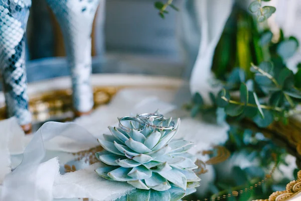 Cincin pernikahan dan cincin pertunangan pada echeveria lezat di atas nampan dengan latar belakang kabur. — Stok Foto