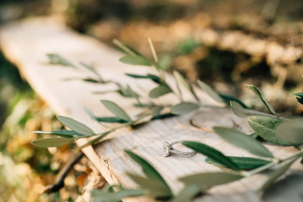 Anillo de compromiso de novias con una joya en una tabla de madera con ramitas de olivo sobre un fondo borroso. — Foto de Stock