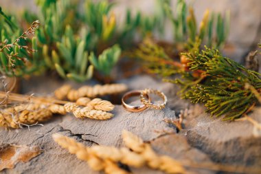 Gelin ve damat için iki yüzük, dikenli bir taş üzerinde ve bulanık arka planda yeşil bitkiler..