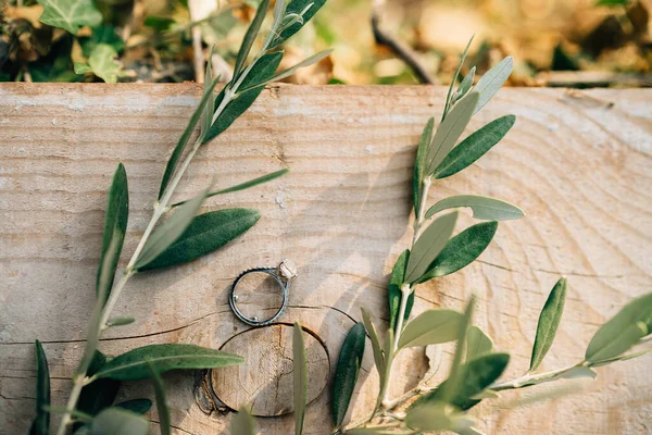 Anillo de compromiso de novias con una gema en una tabla de madera con ramitas de un olivo. — Foto de Stock