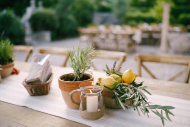 Saksıda çiçek olan bir masa, bir kase limon ve dışarıda mumu olan sığ bir tarla derinliğinde bir kupa..