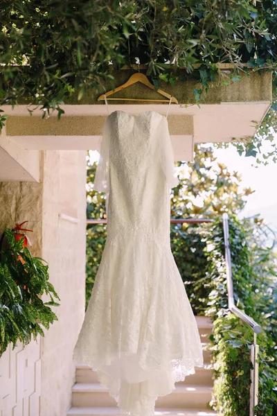 Wedding dress on a hanger in the yard near the stairs with a green climbing plant.