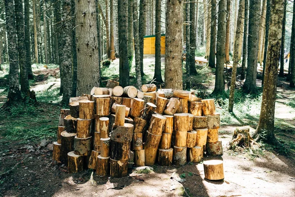 Sebuah glade di hutan dengan kayu bakar lipat untuk kotak api dengan latar belakang pohon. — Stok Foto