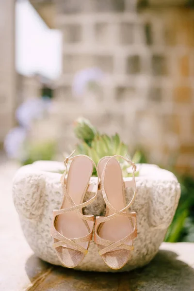 Wanita sandal musim panas pada pot bunga yang terbuat dari batu. — Stok Foto