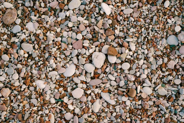 Gros plan des galets sur la plage en plein jour. — Photo