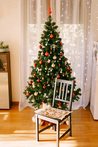 Oyuncak ve çelenklerle süslenmiş bir Noel ağacının arka planında, tepside pişmiş zencefilli ekmeği olan bir sandalye.. — Stok fotoğraf