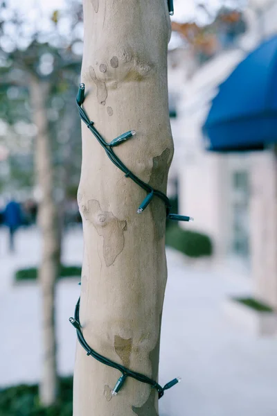 Recorte a grinalda de Natal em um tronco de árvore em um parque na rua. — Fotografia de Stock