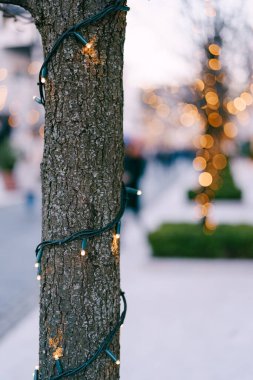 Ağaç gövdesindeki Noel çelengi de dahil. Parkta yılbaşı sokak lambası. Şenlik ışıkları. Arka planda Bokeh ile Küçük Ampuller Kapanıyor.
