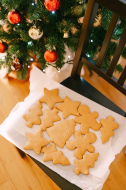 Süslü bir Noel ağacının yanında pişirmek için beyaz parşömen üzerinde ringa balığı, çan ve yıldız şeklinde kurabiyeler..
