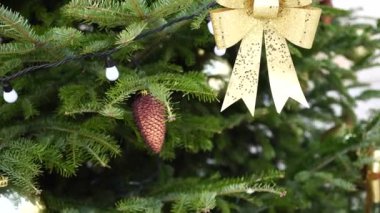 Altın gibi parlak bir fiyonk Noel ağacını süslüyor.