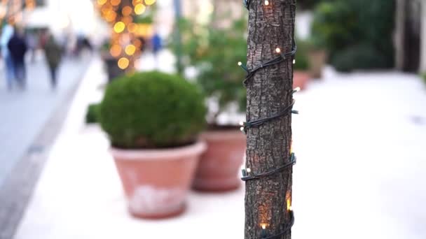 Inklusive Weihnachtsgirlanden an einem Baumstamm draußen. Silvester Straßenbeleuchtung im Park. Festliche Lichter. Kleine Glühbirnen in Nahaufnahme mit Bokeh im Hintergrund.