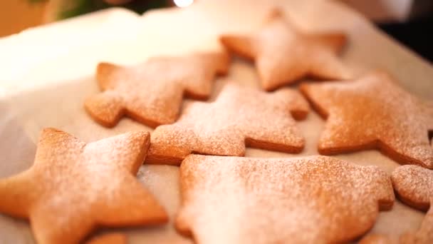 Close-up of gingerbread cookies sprinkled with powdered sugar. — Stock Video