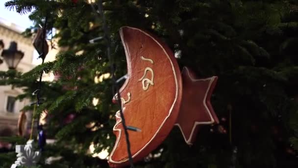 Holzspielzeug auf den Zweigen eines Weihnachtsbaums, in der Form eines Monats, ein sechszackiger Stern und andere. — Stockvideo