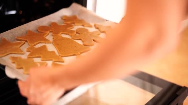 Lo chef mette i biscotti di pan di zenzero nel forno. — Video Stock