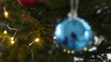 Yaşayan bir Noel ağacının yeşil dallarında LED çelenkler.