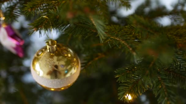 Close-up de uma bola de Natal dourada em um ramo de uma árvore de Natal. — Vídeo de Stock