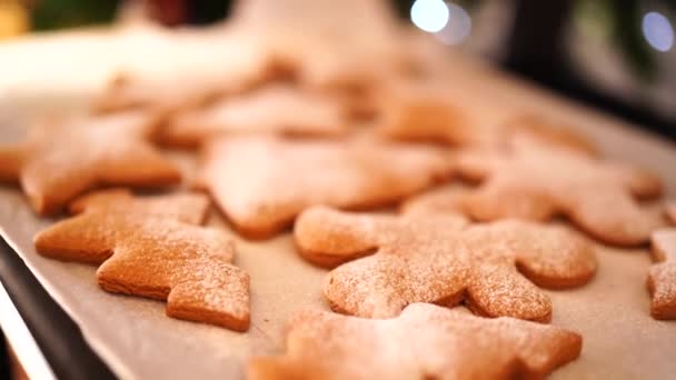 Close-up of gingerbread cookies sprinkled with powdered sugar. — Stock Video