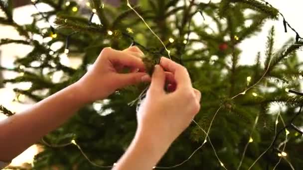 Ženy ruce detailní up zdobení vánoční stromeček. — Stock video