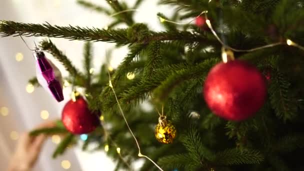 Mãos femininas closeup decorar a árvore de Natal. — Vídeo de Stock