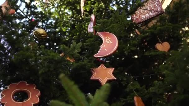 Houten speelgoed op de takken van een kerstboom, in de vorm van een maand, een zespuntige ster en anderen. — Stockvideo