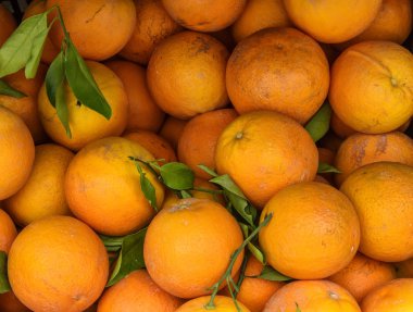 Taze portakal ağacından sepeti dolu