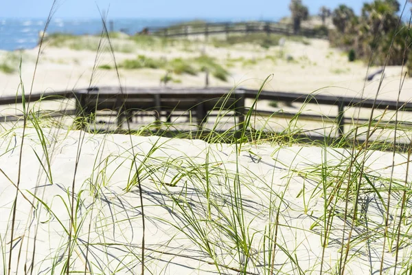 Seegras Stochert Durch Sand Mit Hölzernen Wegen Zum Strand Und — Stockfoto