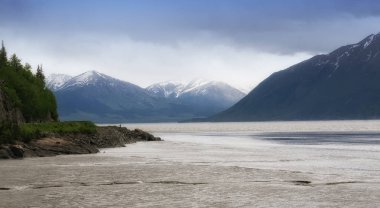 Alaska'nın nehir ve dağ manzaralı görünüm.
