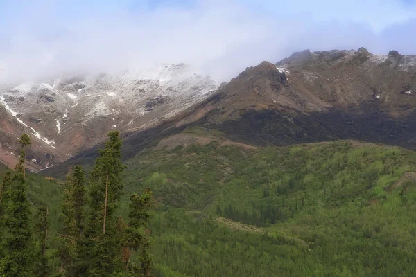 Malebný Pohled Denali Pohoří Zelené Údolí — Stock fotografie