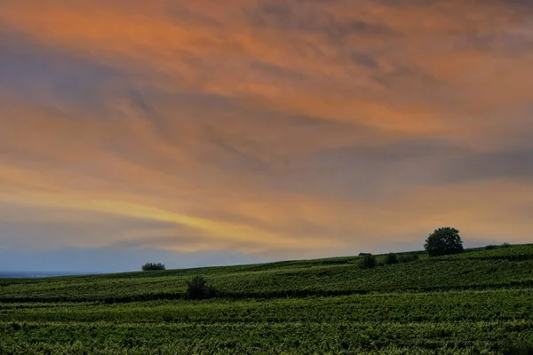 Mattina Presto Cielo Vibrante Campo Francia — Foto Stock