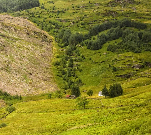 Scenic View Argyll Forest Park Highlands Scotland — Stock Photo, Image