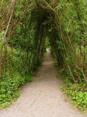 Doğal Blarney Castle, Blarney, İrlanda, bahçelerde yürüyüş yolu kapalı