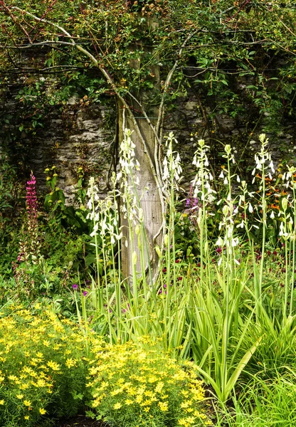 Exuberantes Jardines Con Flores Blarney Irlanda —  Fotos de Stock