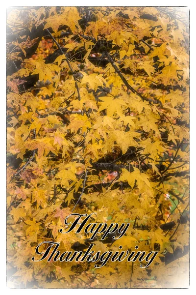 Happy Thanksgiving Card Greeting Text Border — Stock Photo, Image