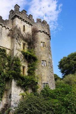 Eve geri kalma yıl 1175, Talbot aile ve bir İrlanda en eski kale.