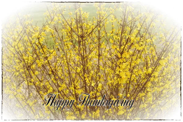 Happy Thanksgiving Holiday Greeting Card Text Border Special Day — Stock Photo, Image