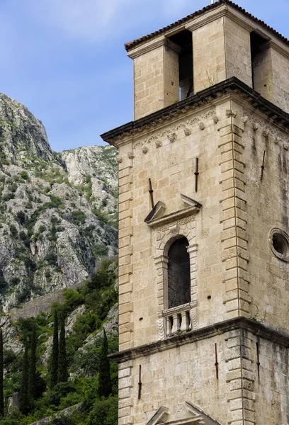 Catedral San Trifón Kotor Con Las Montañas Fondo —  Fotos de Stock
