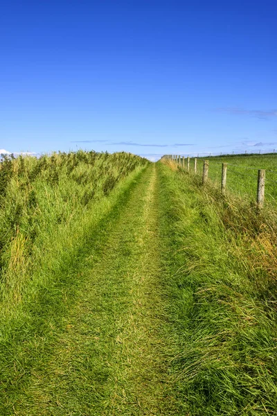 Wanderweg in Nordirland — Stockfoto