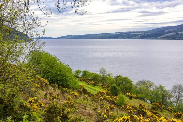 Linia brzegowa rzeki Loch Ness w Szkocji — Zdjęcie stockowe